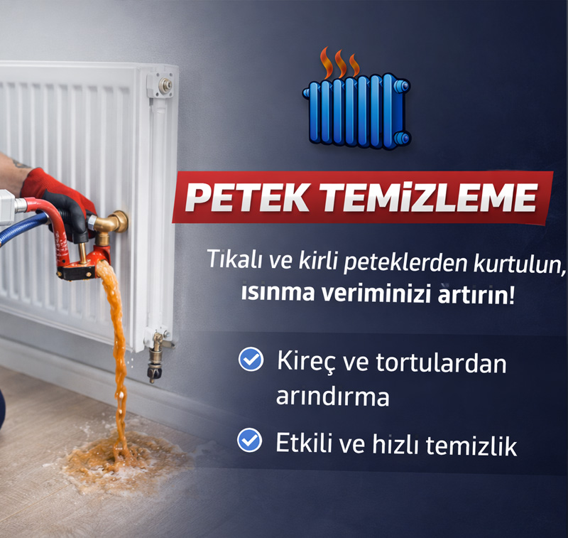 Petek Temizleme